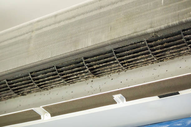 Best HVAC Air Duct Cleaning  in Raleigh, NC